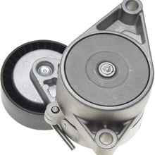 ACDelco 38224 Professional Automatic Belt Tensioner and Pulley Assembly
