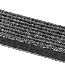 Acdelco 8Dk555 Professional Serpentine Belt, 1 Pack