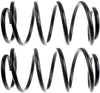 ACDelco 45H2116 Professional Rear Coil Spring Set