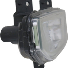 TYC 19-14042-00-1 Replacement left Fog Lamp (Compatible with NISSAN), 1 Pack