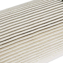 aFe Power 44-FF012 Pro GUARD D2 Fuel Filter (Dodge)