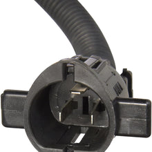 Spectra Premium CH20 Distributor