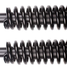 ECCPP 2X Front Complete Strut Assembly Shock Absorber for 1994 1995 1996 1997 for Honda Accord