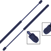 2 Pieces (Set) Tuff Support Liftgate Lift Supports 2011 To 2016 Nissan Quest