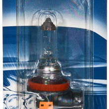 Bosch Automotive H8ST Light Bulb