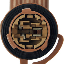 Dorman 645-626 Lighting Socket
