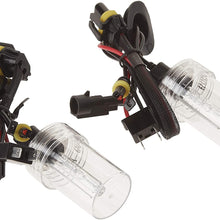 XenTec H7 6000K HID Xenon Bulb (1 Pair, Ultra White color)