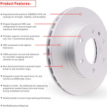 Rear Dynamic Friction Company GEOSPEC Coated Brake Rotor 604-67111 (1)