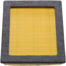 Champion CAP9687 Panel Air Filter