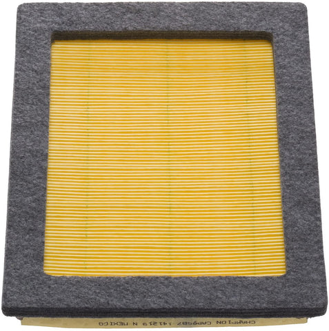 Champion CAP9687 Panel Air Filter