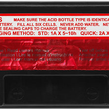 ACDelco ATX12BS Specialty AGM Powersports JIS 12-BS Battery