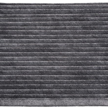 Champion CCF7766 Activated Carbon Replacement Cabin Air Filter