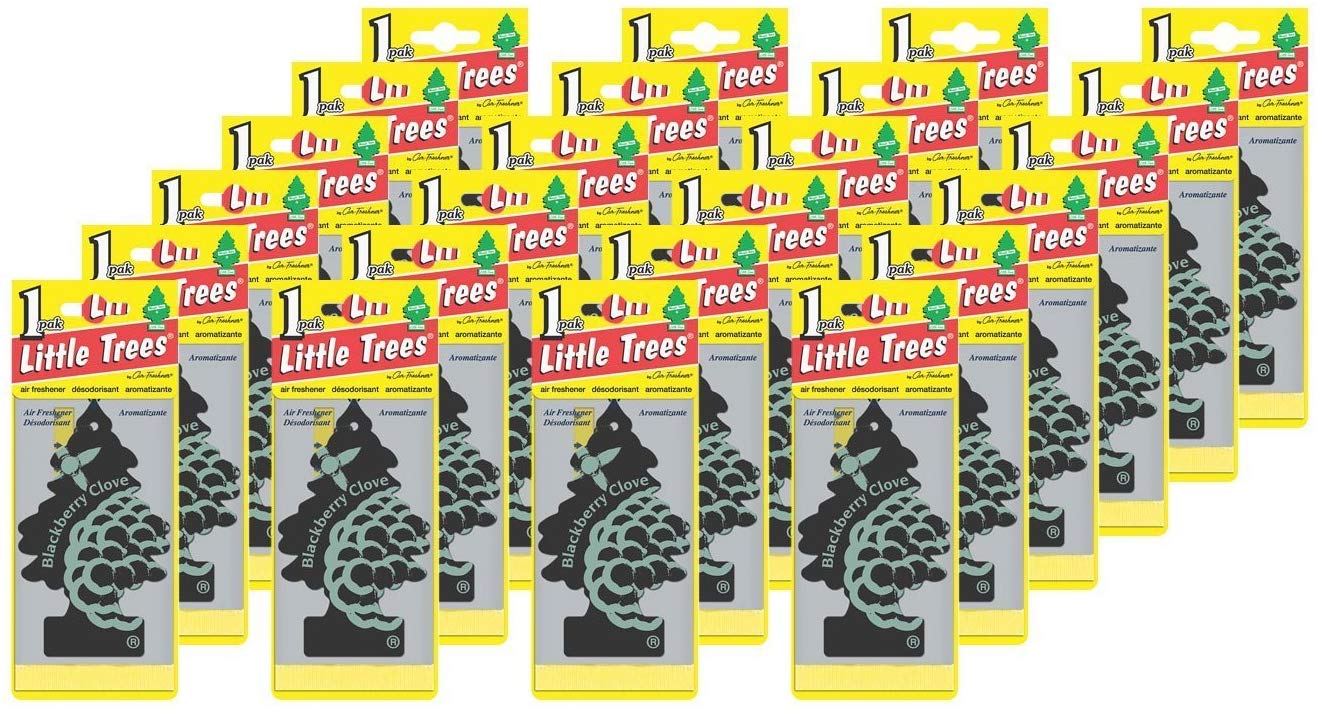 LITTLE TREES Car Air Freshener | Hanging Paper Tree for Home or Car | Blackberry Clove | Pack of 24
