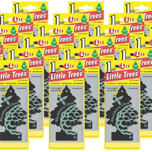 LITTLE TREES Car Air Freshener | Hanging Paper Tree for Home or Car | Blackberry Clove | Pack of 24