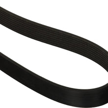 Motorcraft JK81267A V-Ribbed Belt