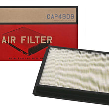 Champion CAP4309 Engine Air Filter