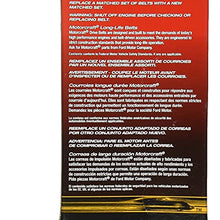 Motorcraft JK6914A V-Ribbed Belt