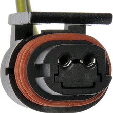 Dorman 645-748 License Plate Lamp Socket and Harness Assembly