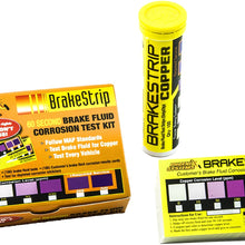 Phoenix Systems (3006-B) Brake Fluid Test Strip Kit, 100 Test Strips and 100 Rating Cards, BrakeStrip, FASCAR
