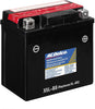 ACDelco ATX5LBS Specialty AGM Powersports JIS 5L-BS Battery