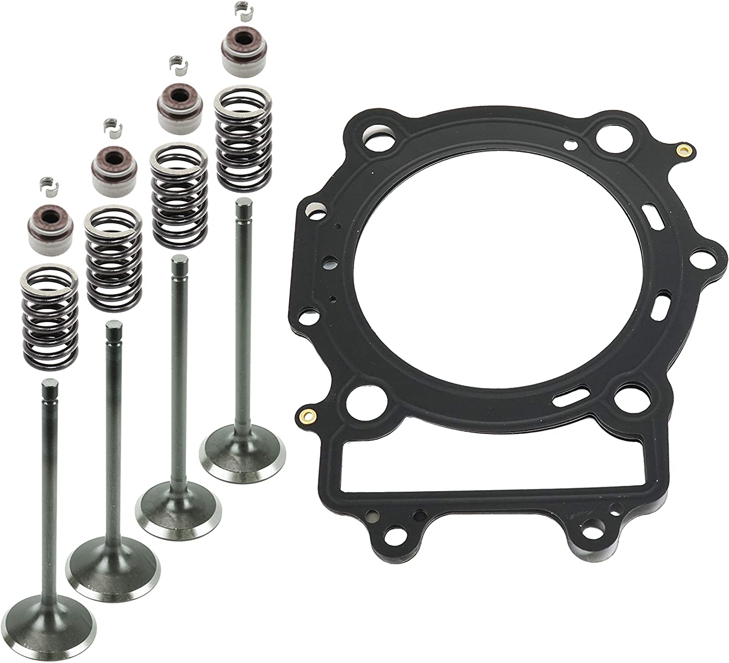 Caltric Cylinder Head Valve Gasket Kit Compatible with Arctic Cat 650 4X4 H1 2005 2006 2007 2008 2009 2010 2011