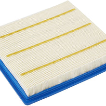 ACDelco GM Original Equipment A3195C Air Filter