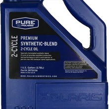 Polaris 2875036 Synthetic 2-Cycle Engine Oil