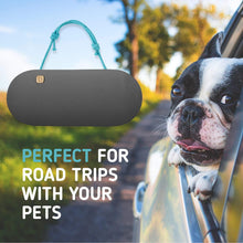 PURGGO Car Air Freshener - Lasts 365+ Days - No Chemicals - 100% Activated Bamboo Charcoal - Fragrance-Free Deodorizer, Auto Odor Eliminator - Absorb Smoke Smell [2Pk]