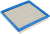 ACDelco GM Original Equipment A3195C Air Filter