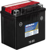 ACDelco ATZ7SBS Specialty AGM Powersports JIS 7S-BS Battery