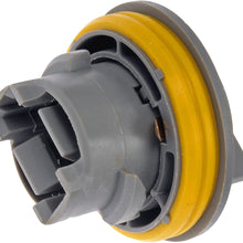 Dorman 923-034 Tail Lamp Socket