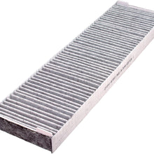 FRAM Fresh Breeze Cabin Air Filter with Arm & Hammer Baking Soda, CF10141 for GM Vehicles