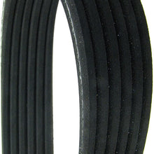 Continental D4060519 Dual-Sided Poly-V/Serpentine Belt