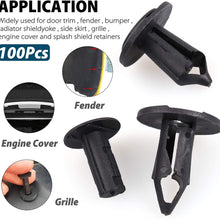 LotFancy 100PCS Car Fender Clips, Nylon Push Retainer Clips, Auto Body Clips Compatible with Honda Mazda Nissan Boat Toyota Retainer Clips kit, 8mm Universal - Fits Most Models