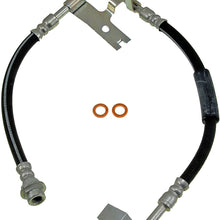 Dorman H38593 Hydraulic Brake Hose