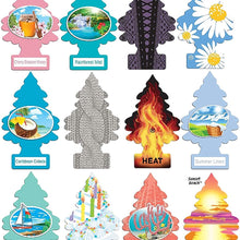 Little Trees Home and Car Air Fresheners 12 Pack Vacation Pack Ultra Rare Scents