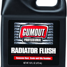 Gumout 5070708 Professional Radiator Flush - 16 oz.