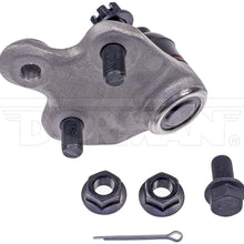 DORMAN BJ74305XL Suspension Ball Joint
