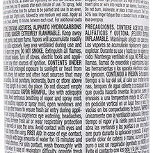 Dupli-Color Epae10000 Premium Acrylic Enamel Spray Paint (Pae100 Gloss Black 12 Oz), 12. Fluid_Ounces