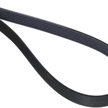 Motorcraft JK6553 Drive Belt