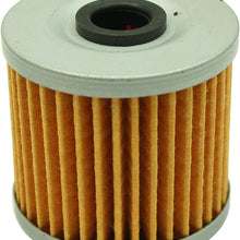 AEM 35-4006 High Volume Fuel Filter Element