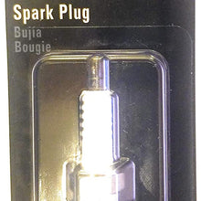 Kohler 490-250-K020 Spark Plug Engine Parts, Natural