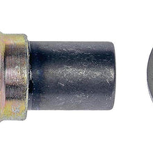Dorman 090-178 Oil Drain Plug