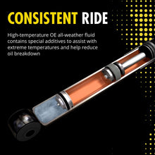 Monroe Shocks & Struts OESpectrum 39107 Shock Absorber