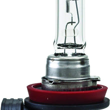 HELLA H11LL Life-55W Long Life Bulb, 12V, 55W