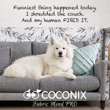 Coconix Fabric and Carpet Repair Kit - Repairer of Your Car Seat, Couch, Furniture, Upholstery or Jacket - Fixes Cigarette Burn Holes, Tear or Rips. Super Easy Instructions to Match Any Color, Pattern