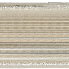 Dorman 923-103 Interior Door Light for Select Models