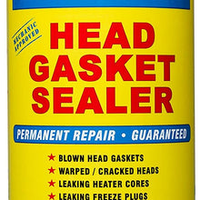 BlueDevil Head Gasket Sealer (38386)