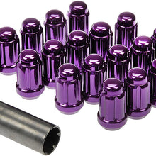 Dorman 711-255J Pack of 20 Purple Lock Nuts with Key