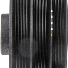 Dorman 594-348 Engine Harmonic Balancer for Select Nissan Models